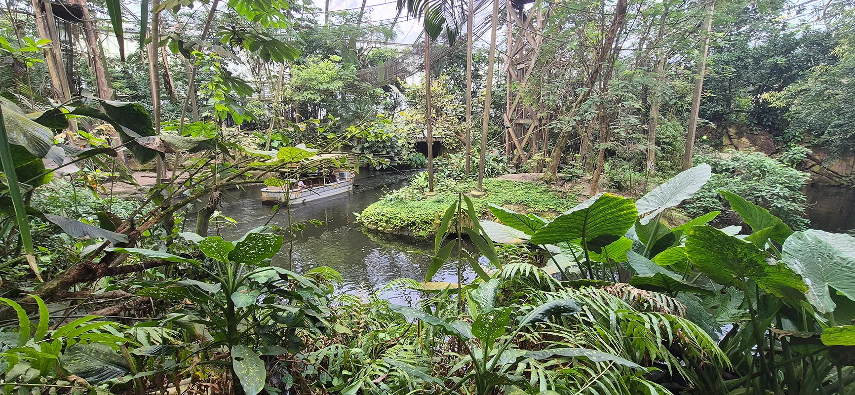 Tropische Pflanzen und Wasserlauf im Bereich Rimbula im Wildlands Adventure Zoo Emmen
