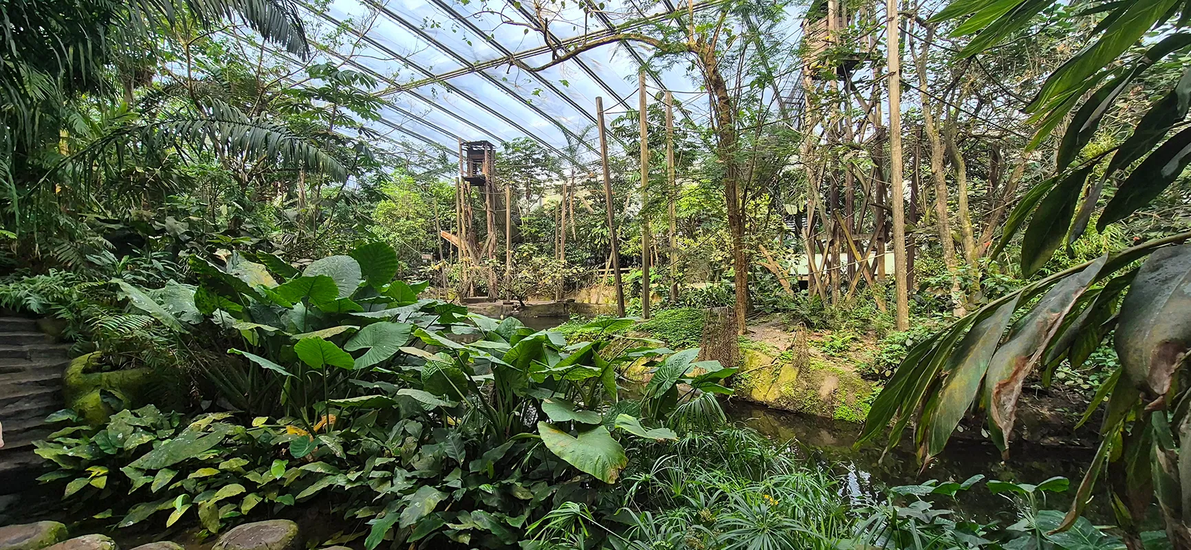 Große tropische Halle Rimbula mit Pflanzen, Wasser und Glasdach