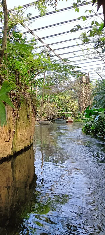 Bootsfahrt durch den tropischen Wasserlauf im Bereich Rimbula