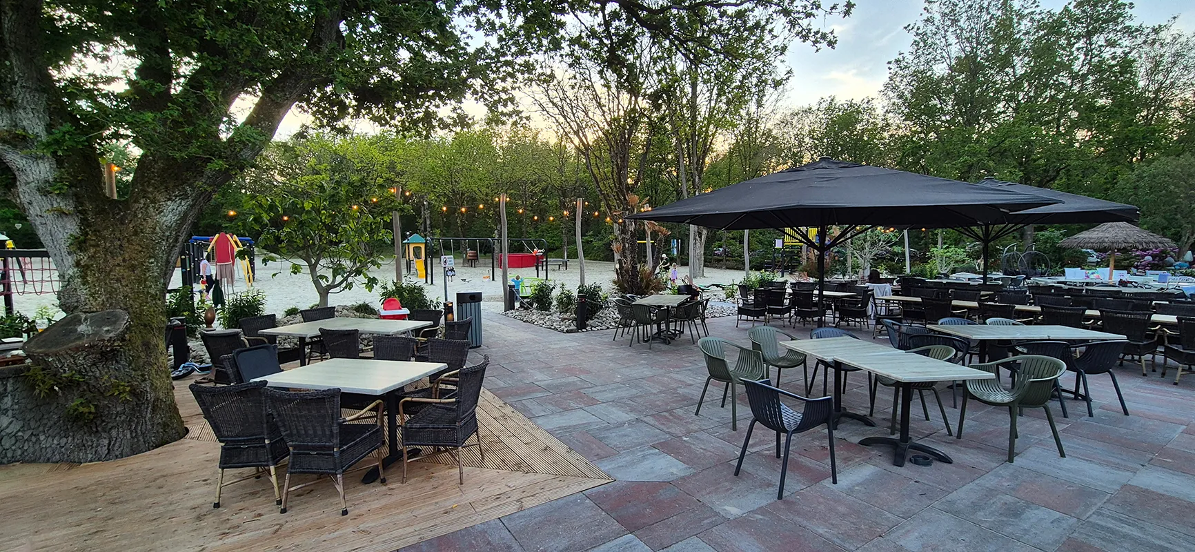 Restaurantterrasse mit Palmen und Tischen